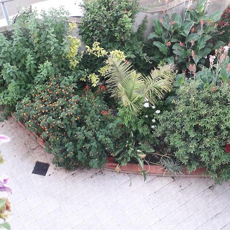 Bed&Breakfast Le petunie Bari Sardo Exterior foto