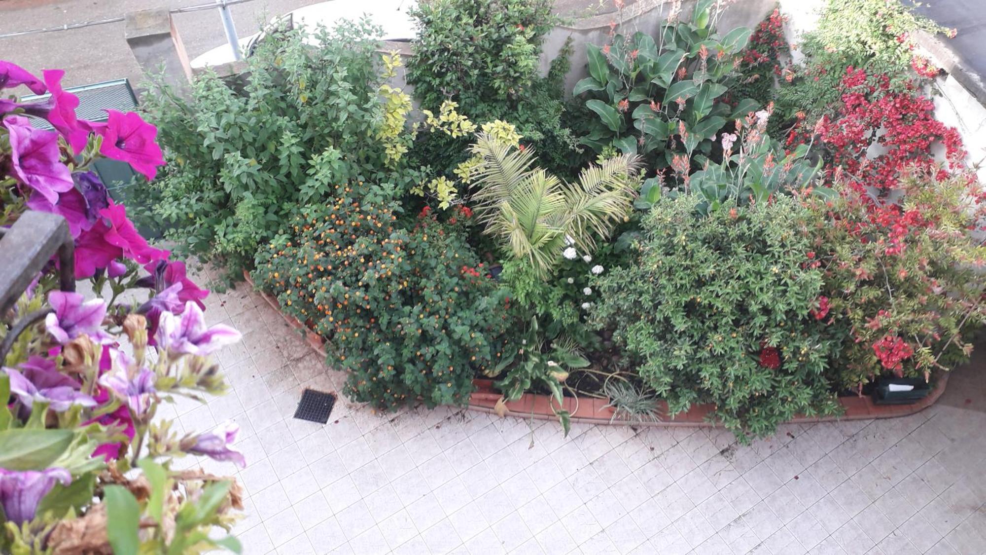 Bed&Breakfast Le petunie Bari Sardo Exterior foto